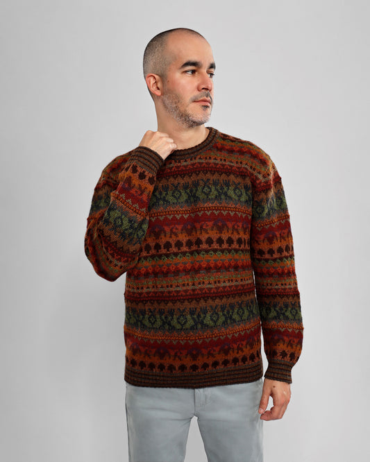 Sweater - Earth colors Raffa